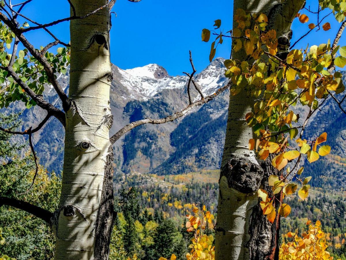 Cascade Village 301, Durango Co المظهر الخارجي الصورة